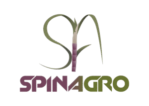 8997c02c-fb2c-4bf9-b75a-c4ac96aa89b1