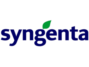 Sem nome (480 x 364 px) (2)