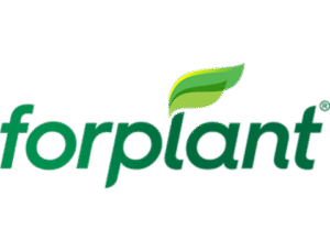 Sem nome (480 x 364 px) (6)