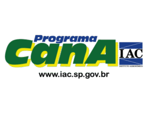 Sem nome (480 x 364 px) (7)