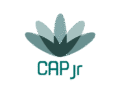 capjr.com.br